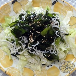 わかめサラダꕤ中華風✧˖°